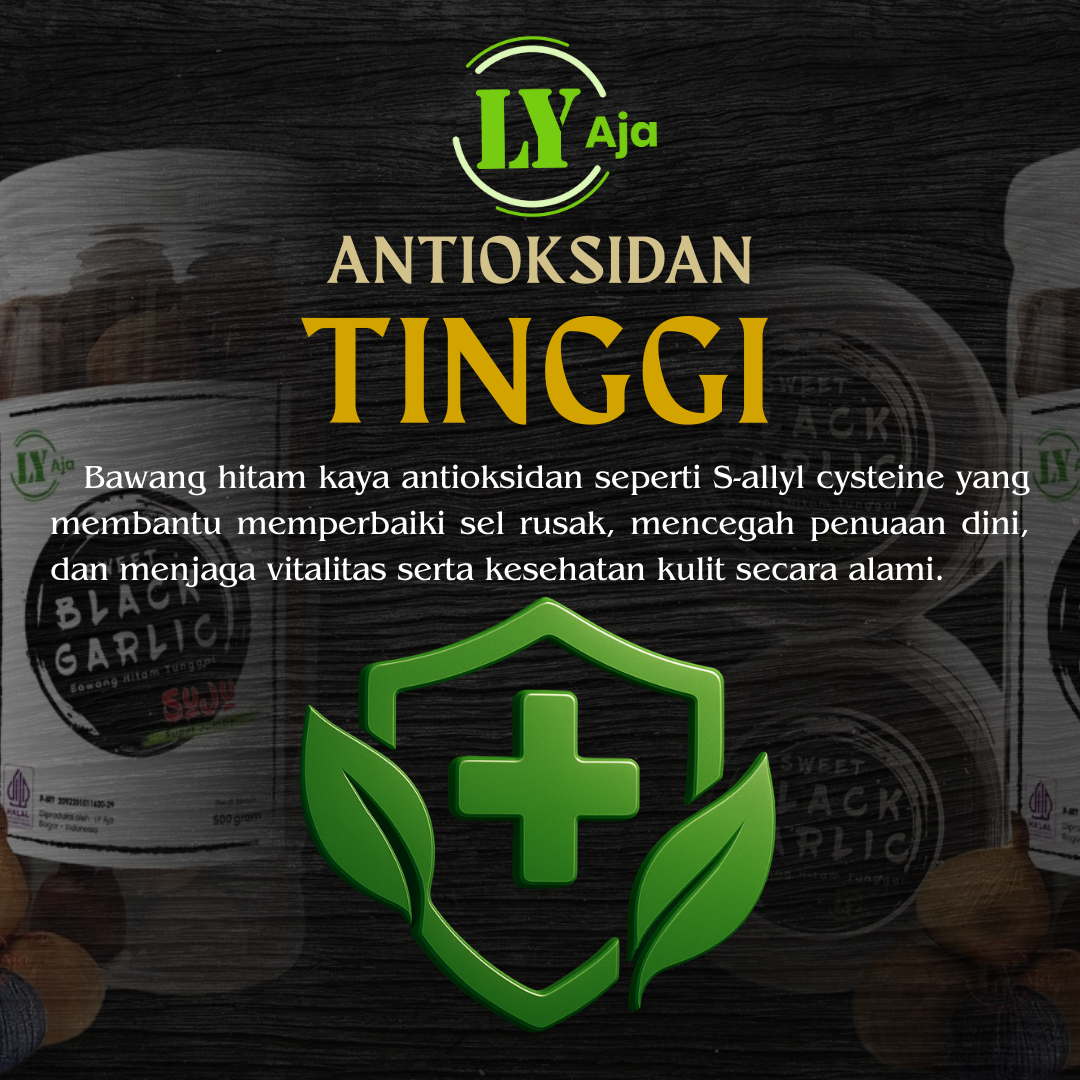 Manfaat Antioksidan Bawang Hitam untuk Diet Sehat